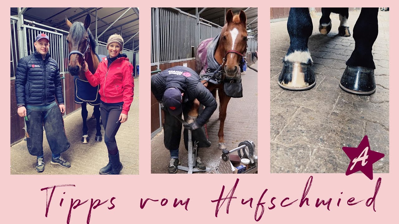 Strahlfäule? Barhuf? Hufpflege? I Tipps von meinem Hufschmied I Neue Hufeisen und Q & A