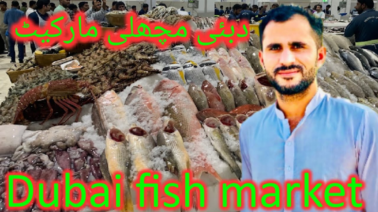 Dubai fish market  available #fish #fishing #fishingvideo #lobster #food #dubai #market #fishmarket