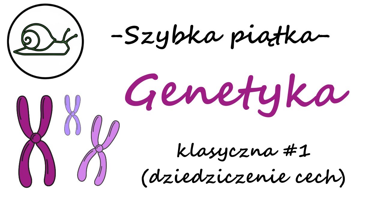 Genetyka: Dziedziczenie cech - Zadania maturalne z biologii (2024/25)