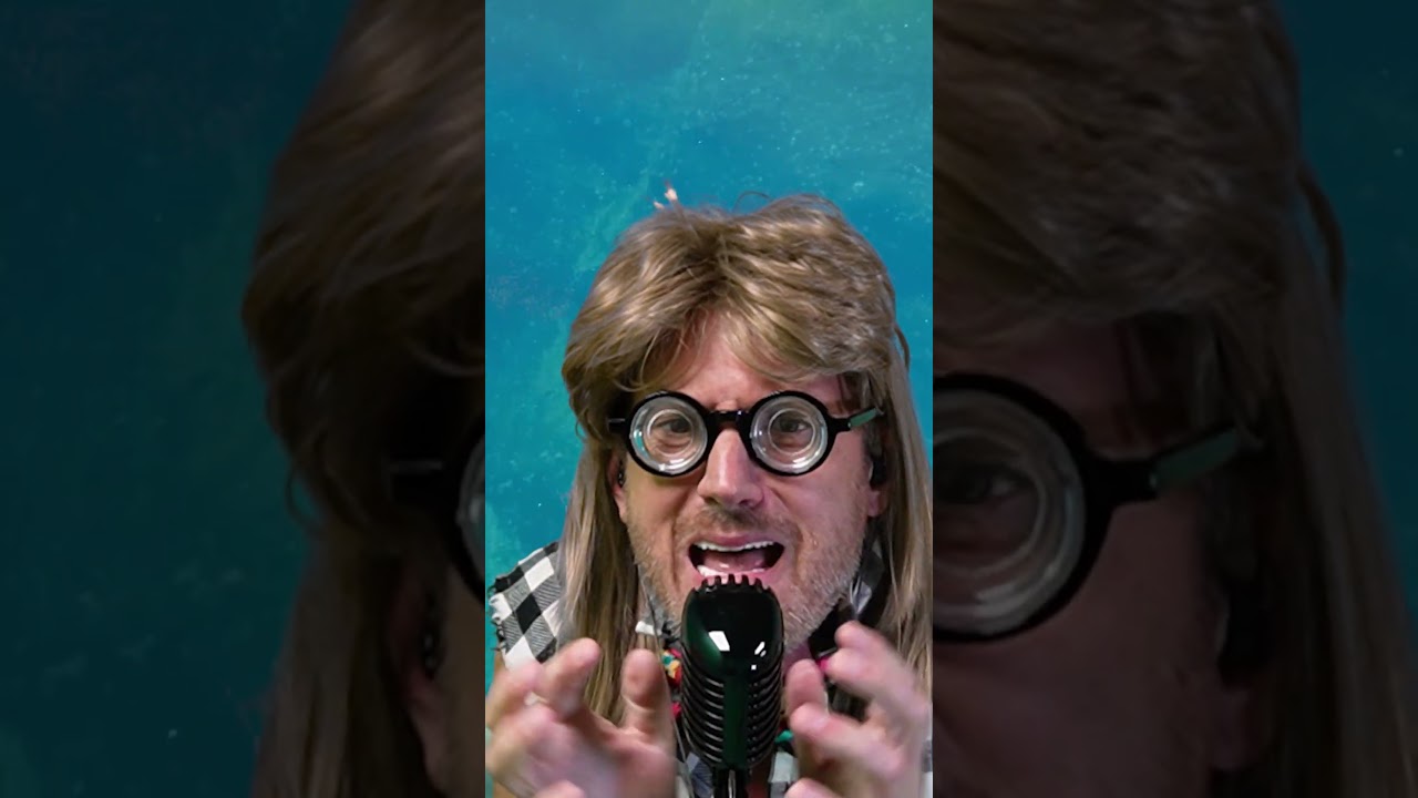 Live - Dolphin's Cry (Mr. X Cover)