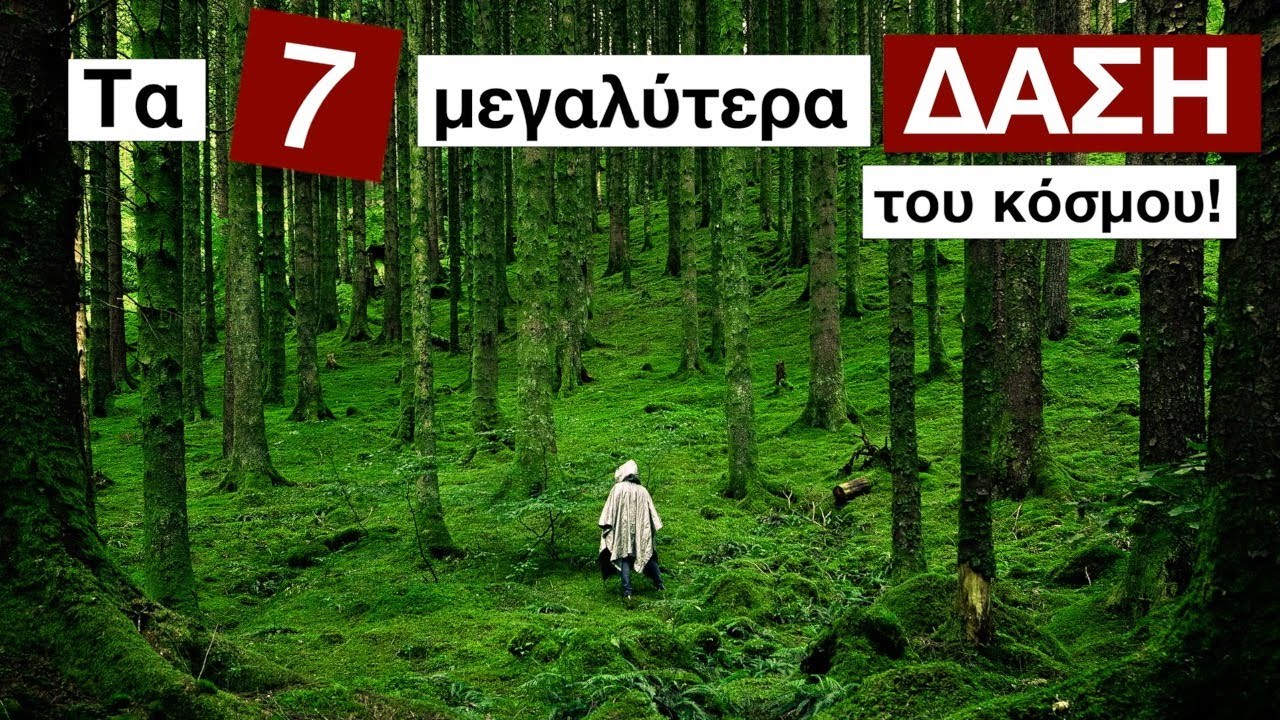 Ποια είναι τα 7 ΜΕΓΑΛΥΤΕΡΑ ΔΑΣΗ του κόσμου;
