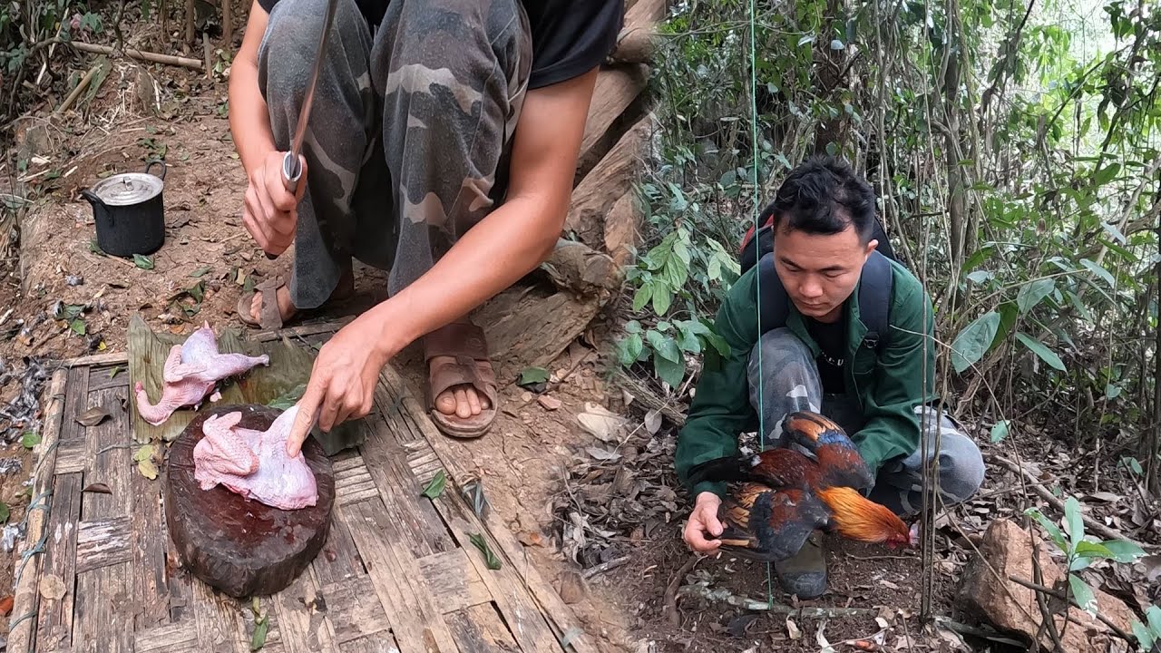 Mồi ngon nhưng chỉ có một mình, cuộc sống tự nhiên, một mình trong rừng