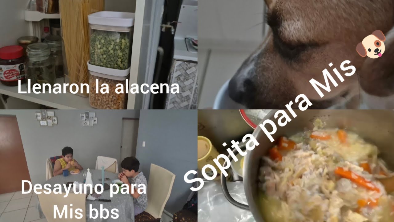 Ni bien cobran me llenan alacena 🙏🏻 No solo son croquetas 😡 ellos necesitan sopita zanahoria etc.
