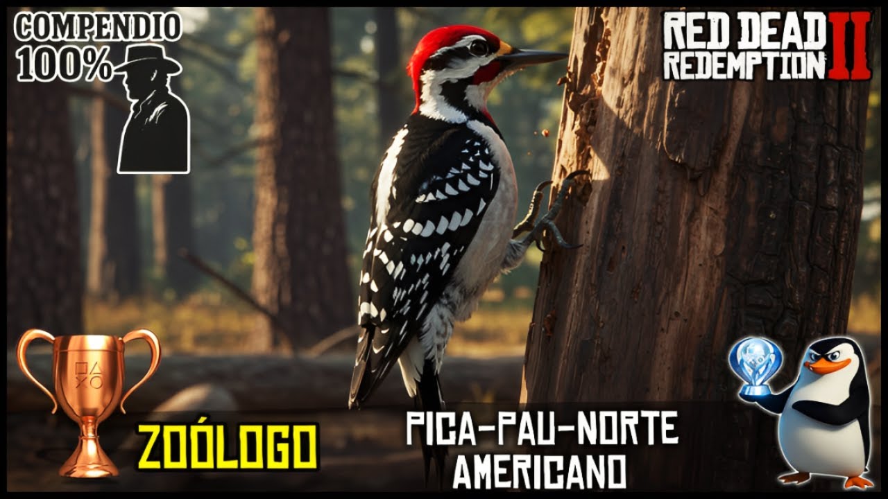 Red Dead Redemption 2: Pica Pau Norte Americano + Compêndio 100% | Troféu Zoólogo