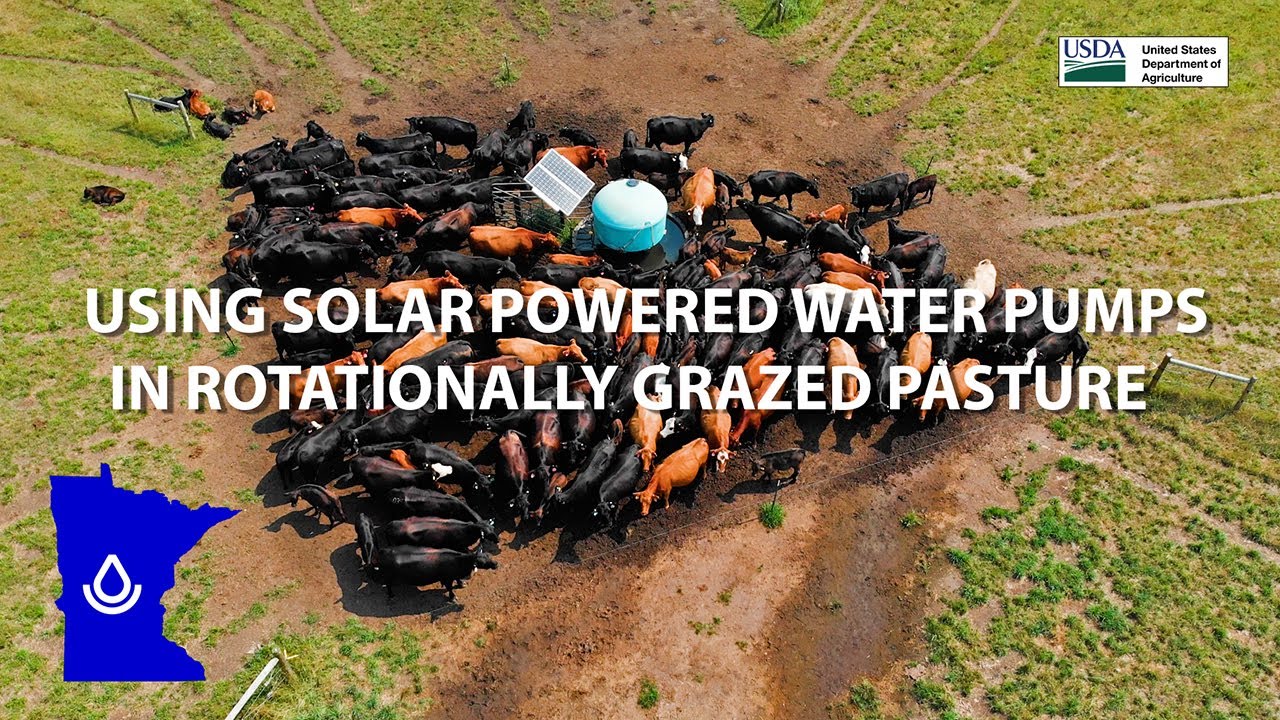 Using Solar Powered Water Pumps on Rotationally Grazed Pasture in Minnesota