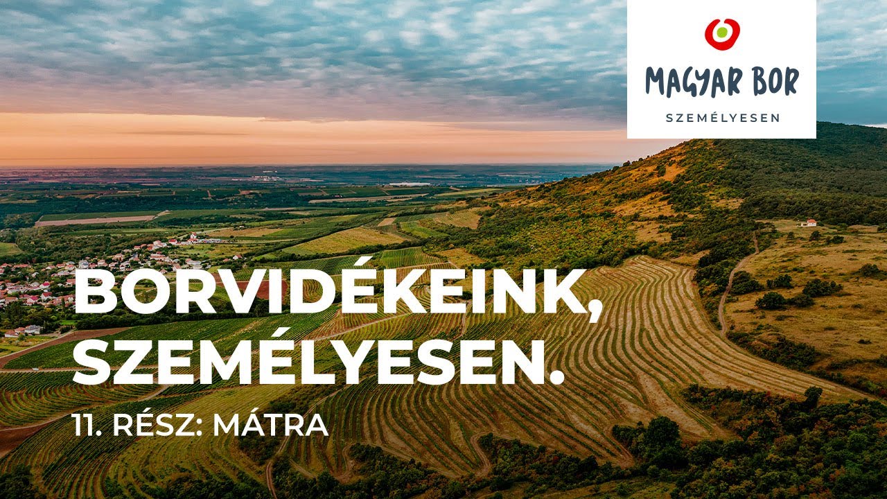 Borvidékeink, személyesen. 11. rész: Mátra