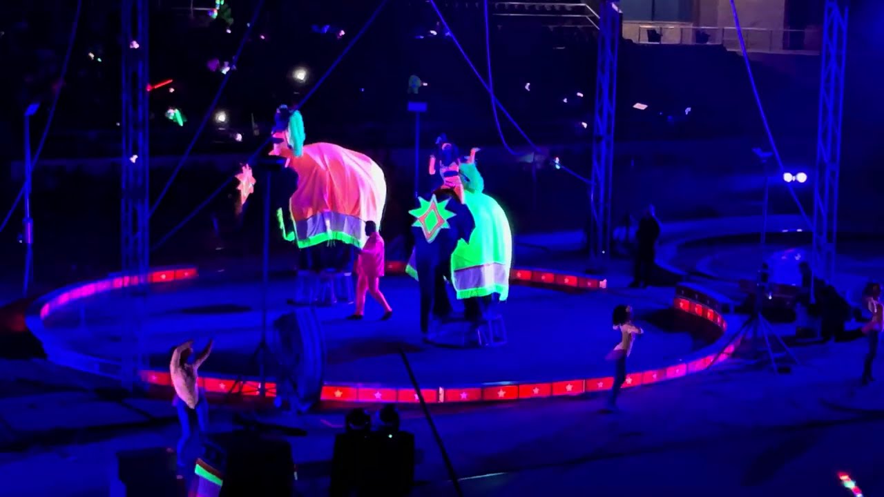 Circus show