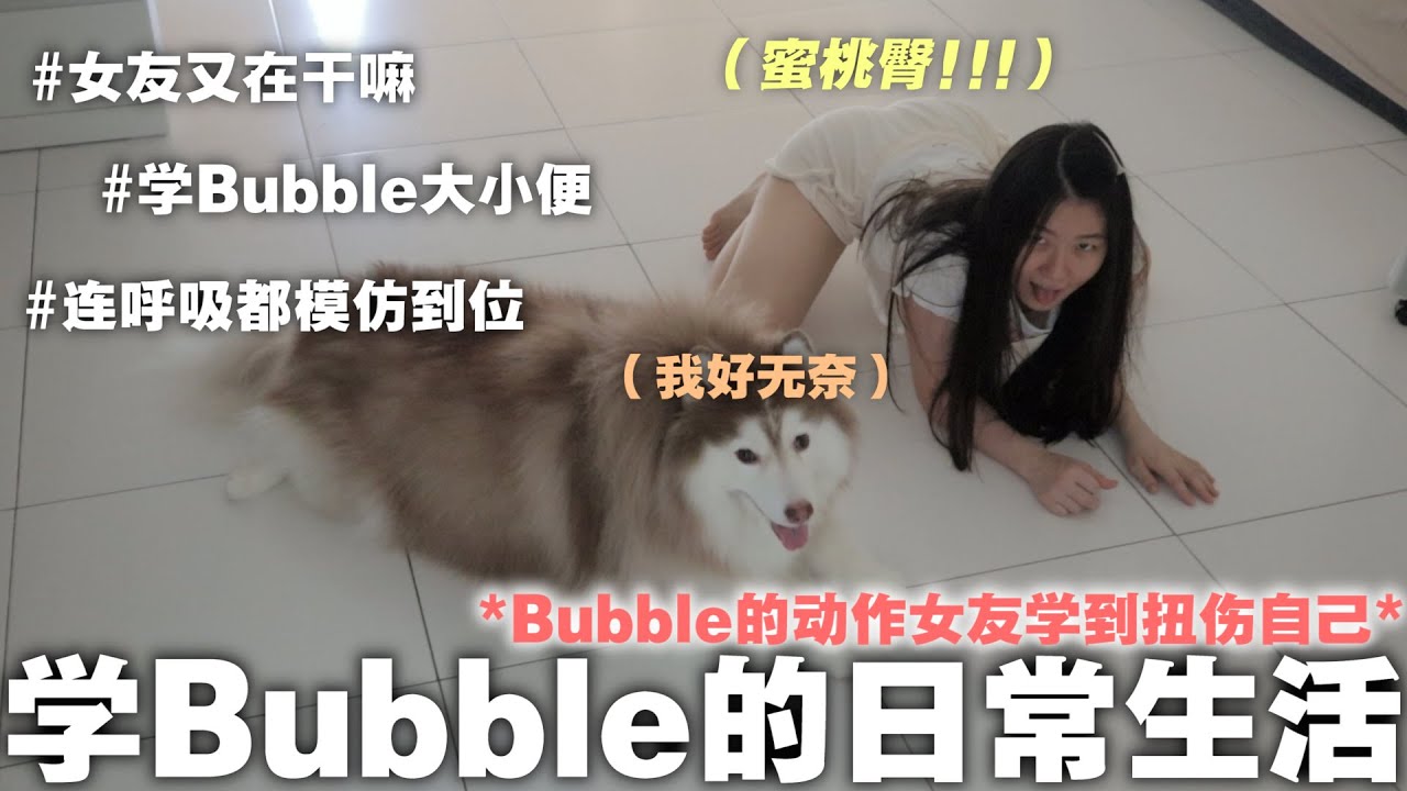 女友居然学Bubble大小便，还一起吃宠物零食！呼吸同步都难不倒她😂