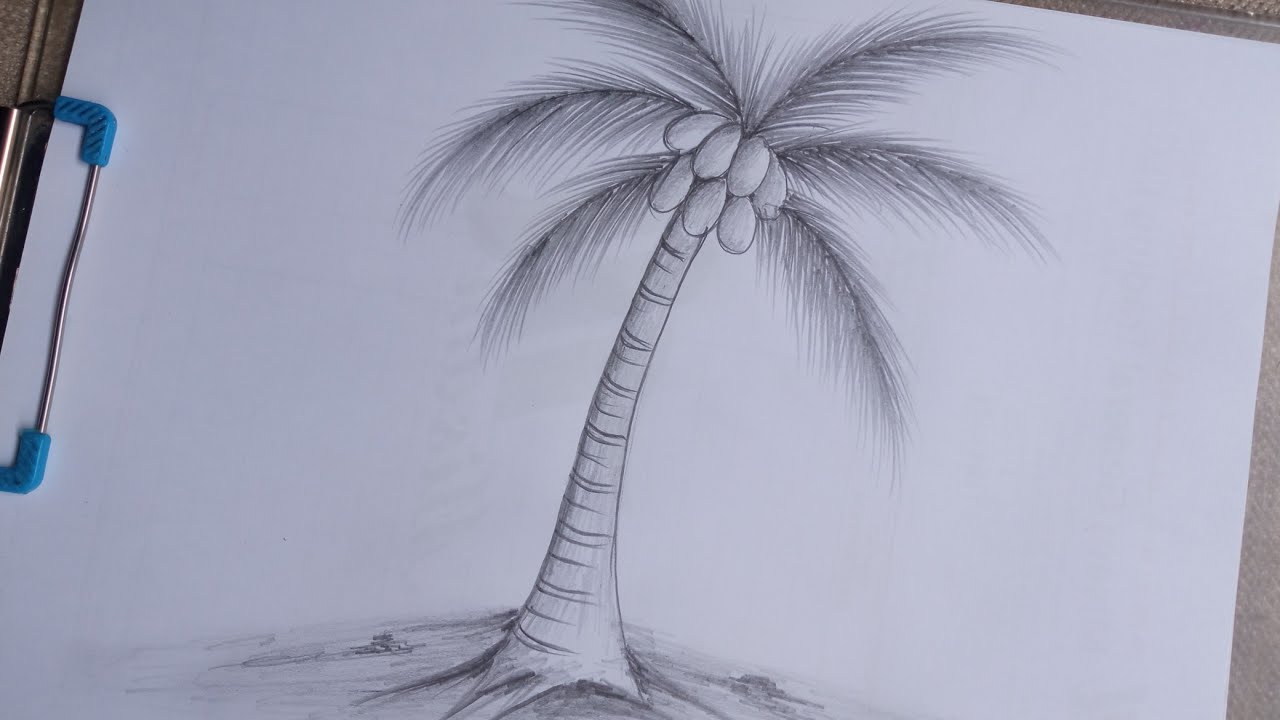 How to draw coconut tree step by step | coconut tree drawing easy | #Pencilsketch, #Coconuttree.