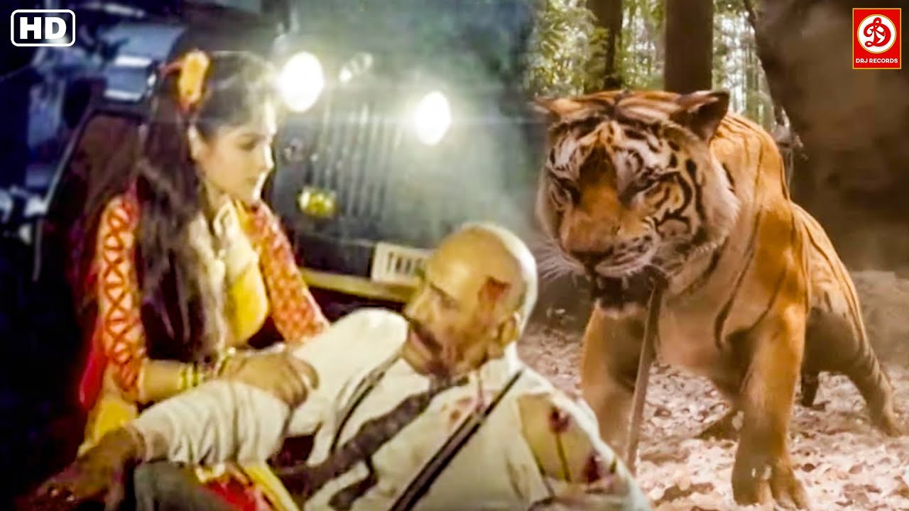 जब टाइगर ने हमला किया अमरीश पूरी पर तब कैसे एक लड़की ने अपने जान पर खेल कर बचाया - Ajay Devgan Action