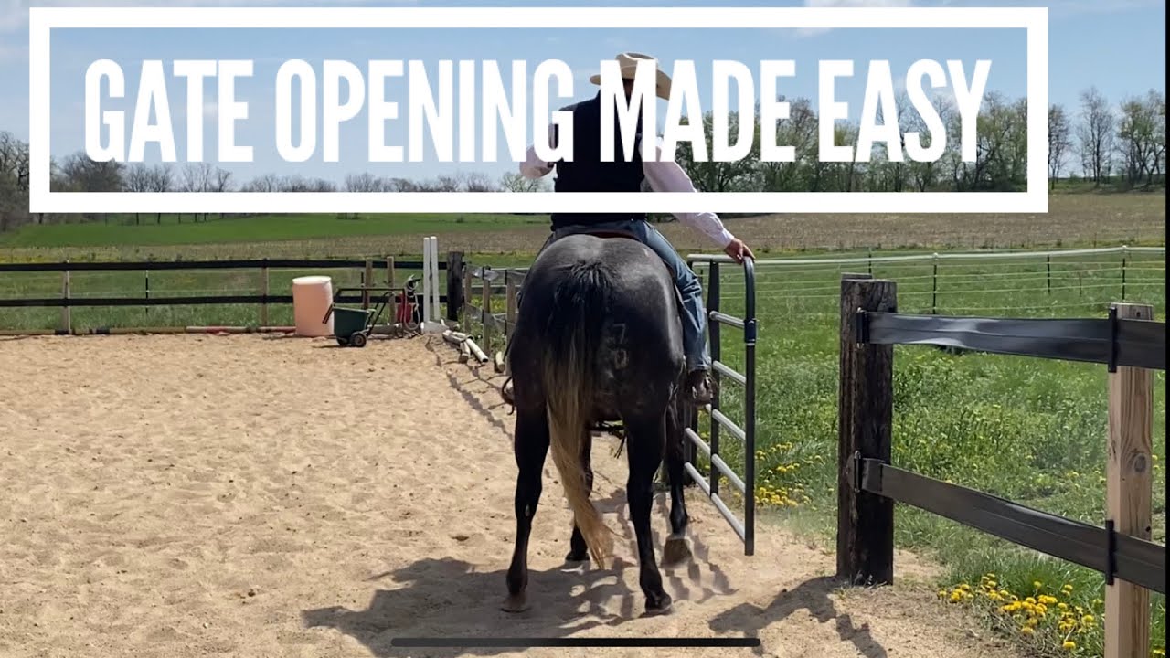 How to Teach your Horse to help you open a gate