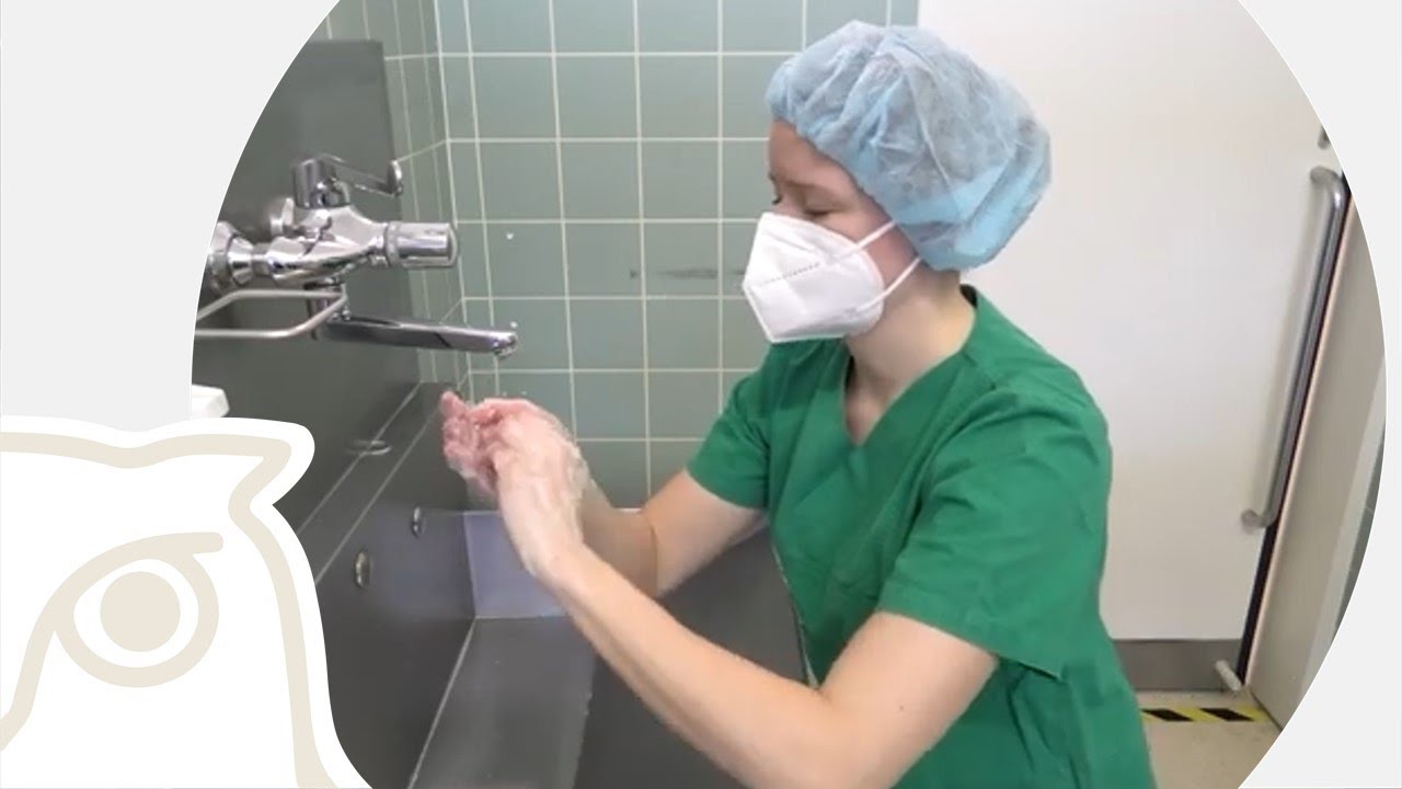CSL: Händewaschung und -desinfektion in der Klinik für Pferde
