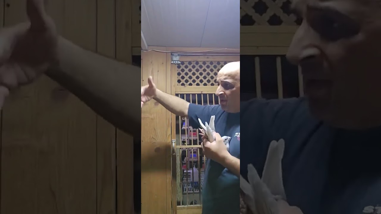 من روائع المنتج العراقي العالمي أبو مهدي العبودي 