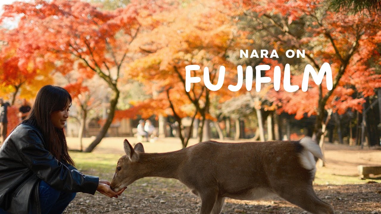 Memories of Nara, Japan | Fujifilm X-T5