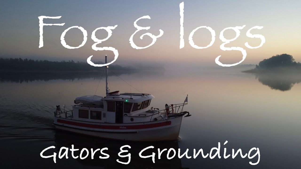 Episode 5 - More fog and logs with a splash of gators and grounding