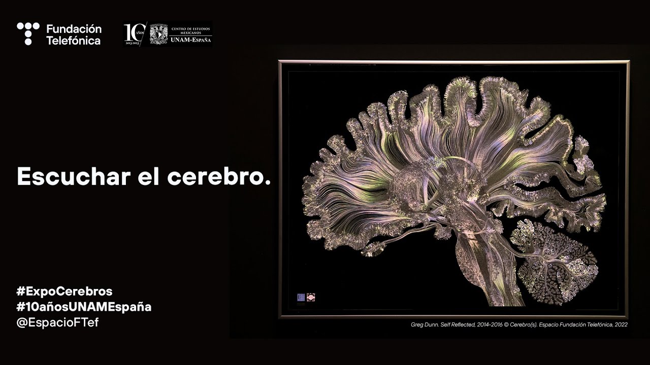 Escuchar al cerebro. Encuentro científico