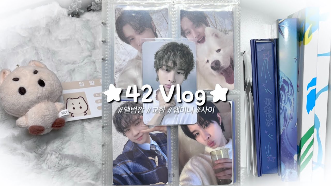 [사이 브이로그] 개학해도 투어스ㅎㅎ | 앨범깡 • 사이 • 교환 • 햄미니 • 덕질브이로그 •42