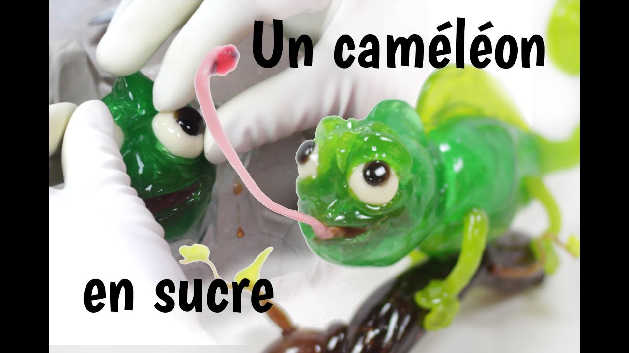 Caméléon en sucre - 1Video : 1Création