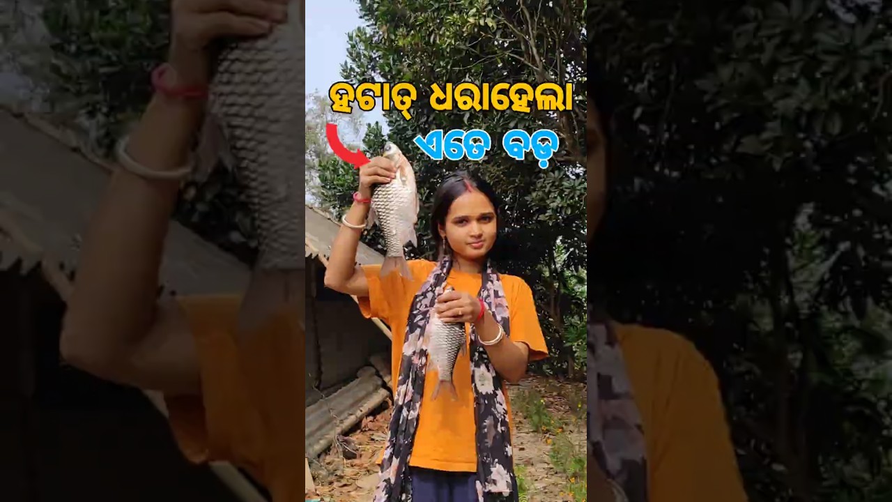 ମାଛଖାଇବା ପାଇଁ ନିଜକୁ ସବୁ କରିବାକୁ ପଡ଼ୁଚି😣#odiavlog #odiavlogchannel #comedy