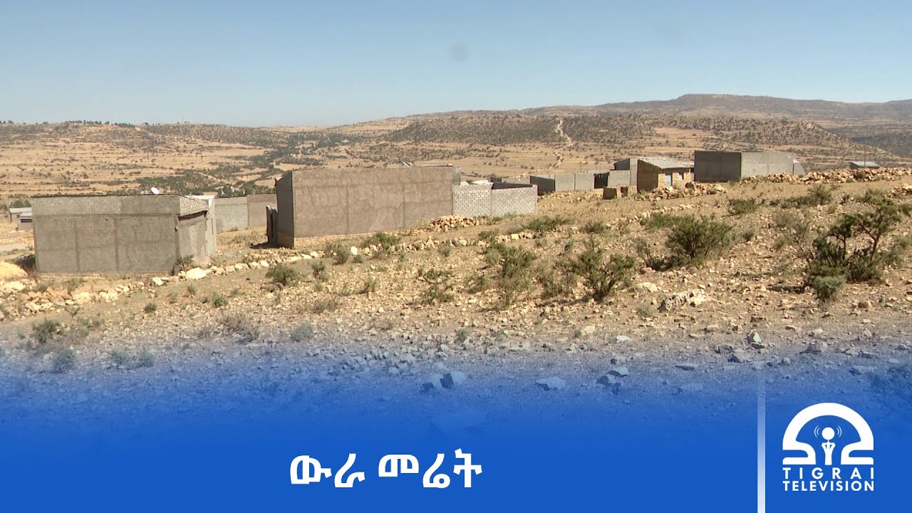 ኣብ ትግራይ ዘሎ ውራ መሬት ሕጋዊ መፍትሒ ተዘይተገይርሉ ዝፈጥሮ ዘሎ ሳዕቤን ናብ ከቢድ ቅልውላው ከምርሕ ይኽእል እዩ፡- ምሁራን