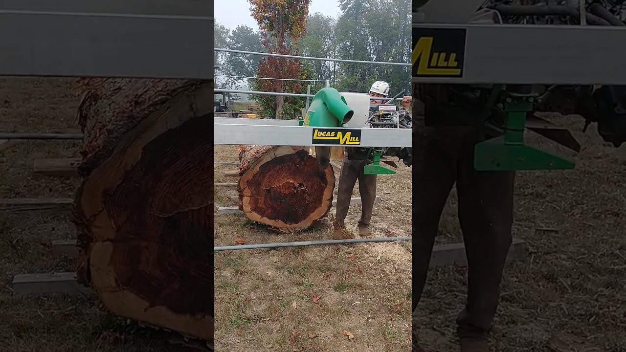 redwood with Lucas Mill