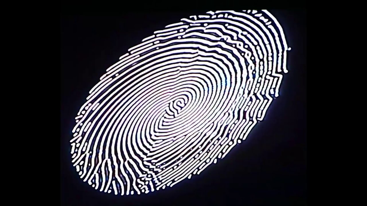 01 one and three patterns: technology is nature (1/3)