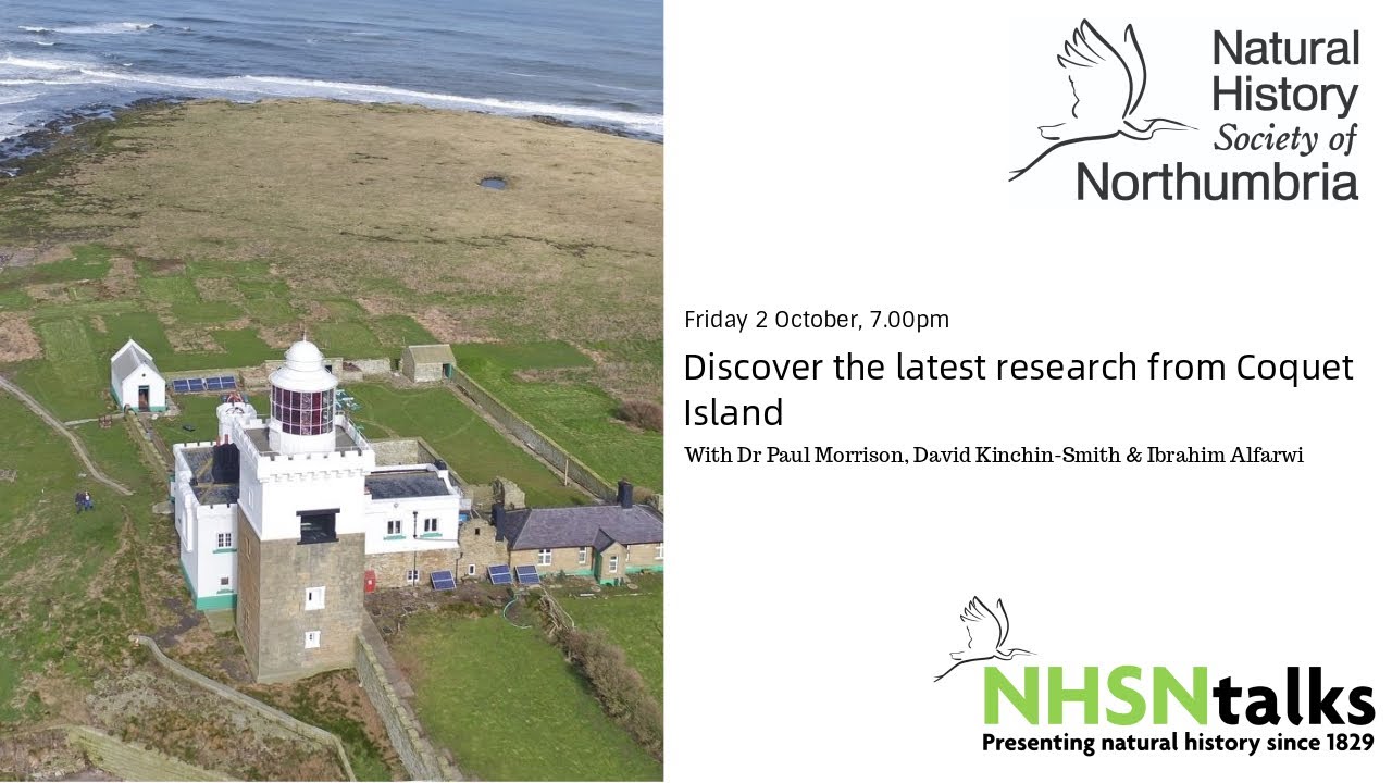 Discover the latest research from Coquet Island