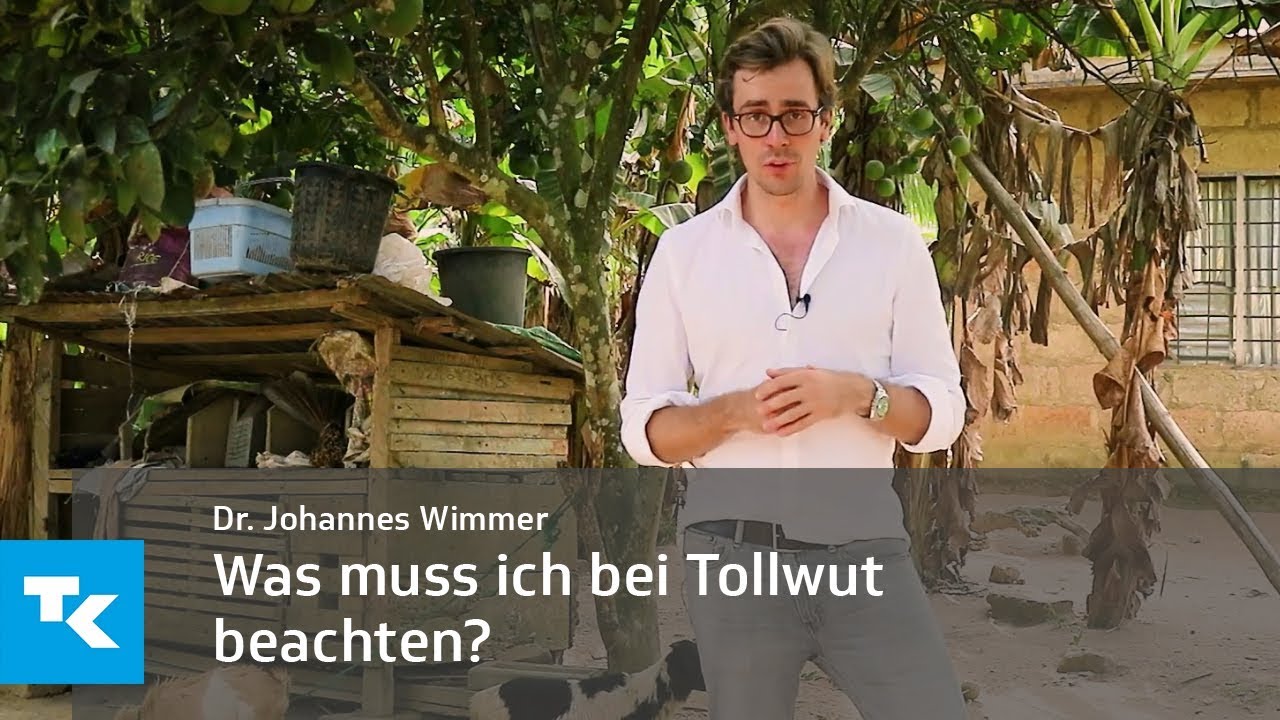 Was muss ich bei Tollwut beachten? | Dr. Johannes Wimmer