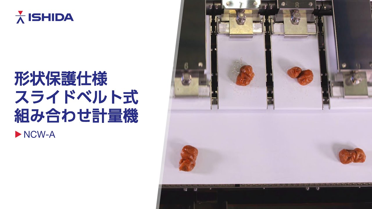 形状保護仕様スライドベルト式組み合わせ計量機 NCW-A