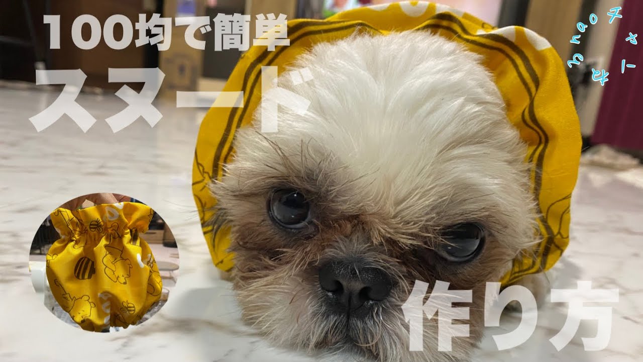 #39[簡単]100均！犬用スヌード!(耳カバー)作り方公開！