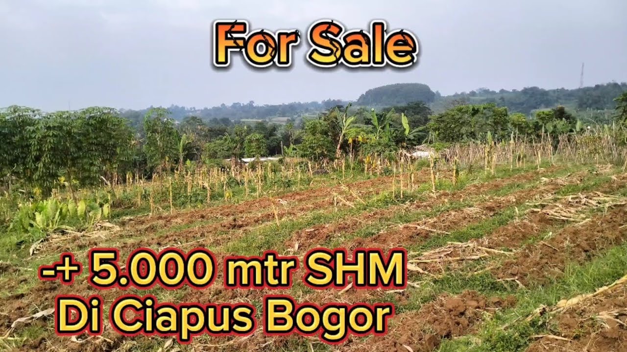 Jual Tanah untuk kebun Di Ciapus Bogor #tanahdijual #jualtanah #viewgunung @aldipropertybgr915