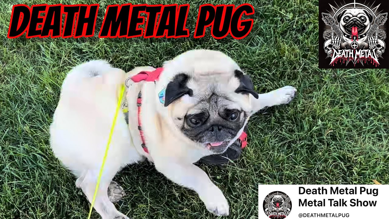 Death Metal Pug | Archspire