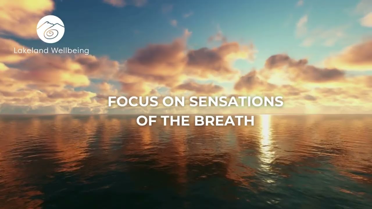 3 minute breathing space - a mindful pause in your busy day