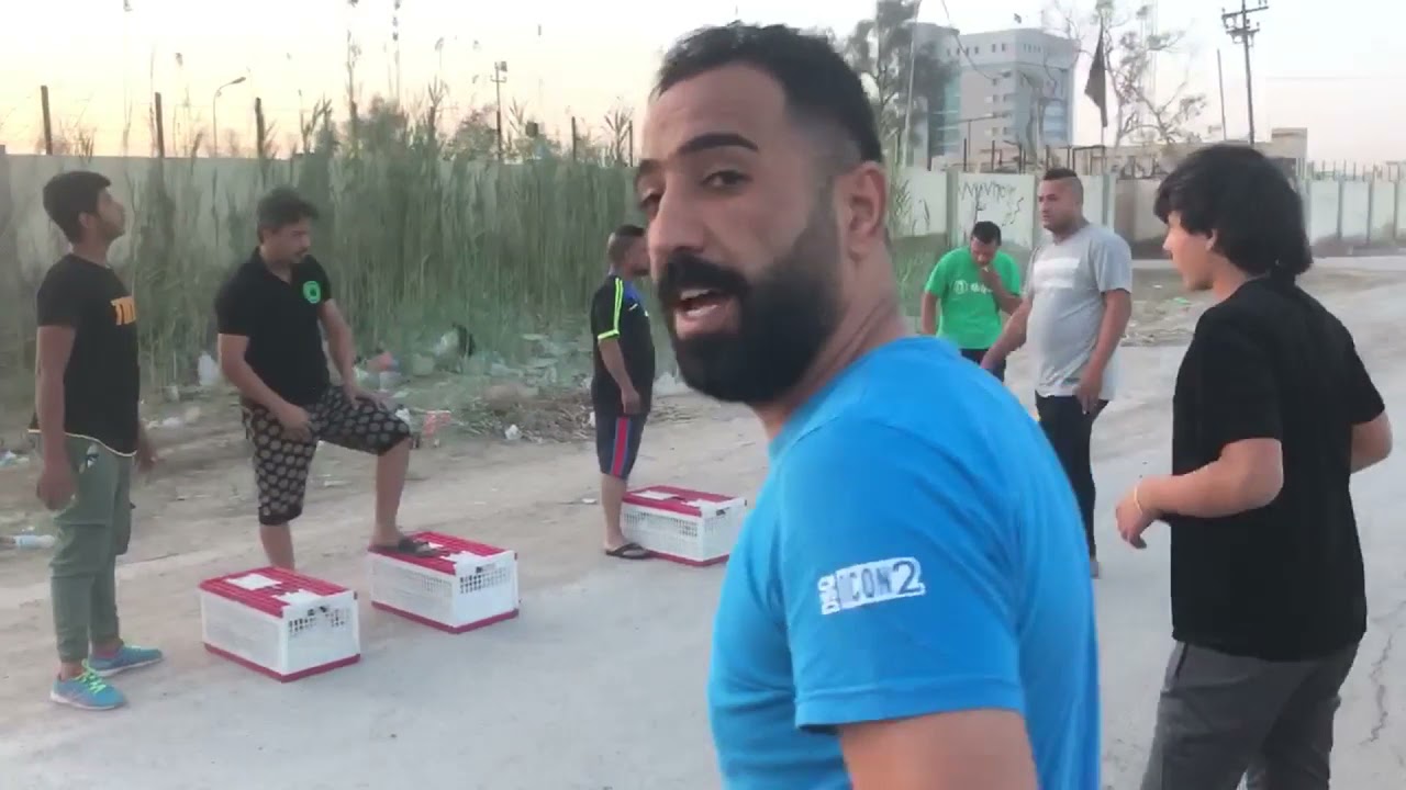 طيور تور وفكة اليوم اهل الكسرة اكثر من ٦٠٠ طير ردا على فكه الشعب والثعالبه
