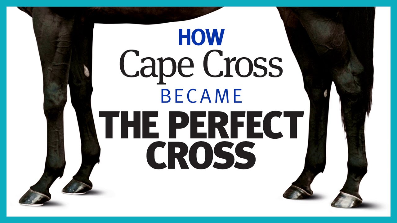 How Cape Cross became the perfect cross