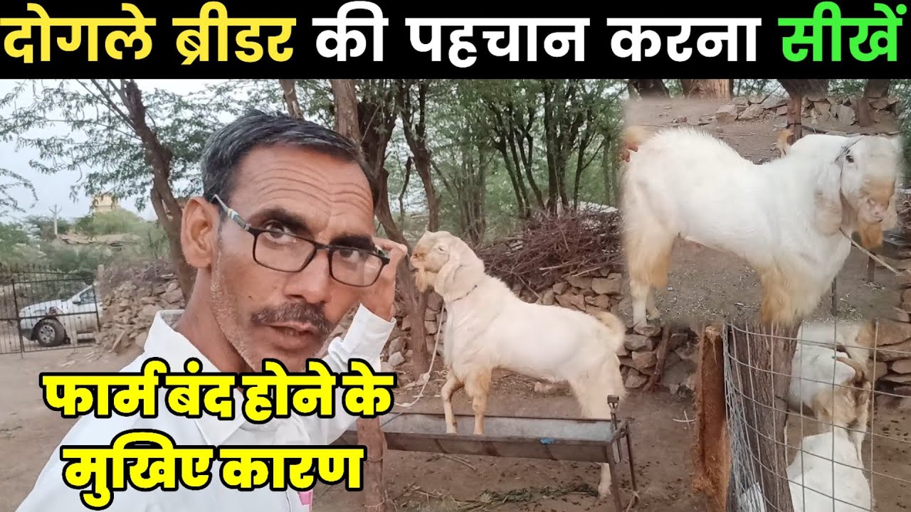 दोगले ब्रीडर की पहचान करना सीखें फार्म बंद होने के मुख्य कारण