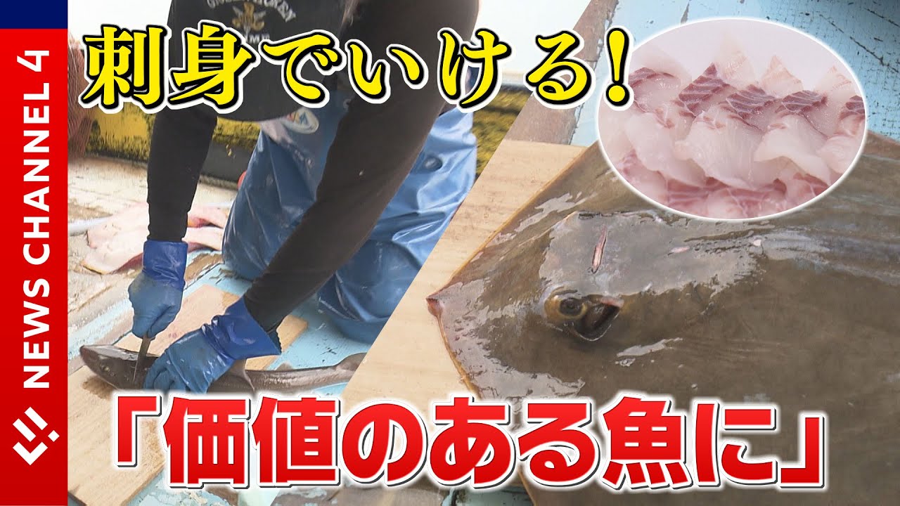 食べて驚き！”未利用魚”を「価値のある魚に」　地域の漁業守るチャレンジ＜NEWS CH.4＞