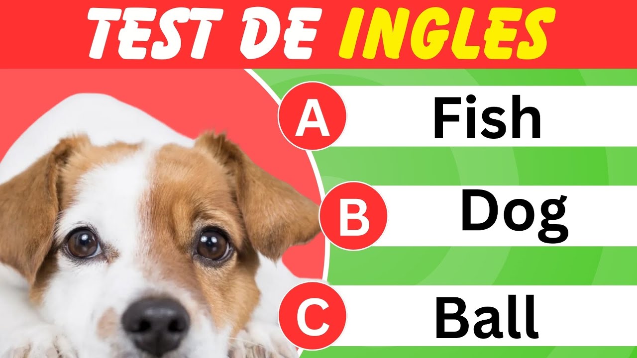 Pon a prueba tu INGLES con este reto de 100 palabras fáciles