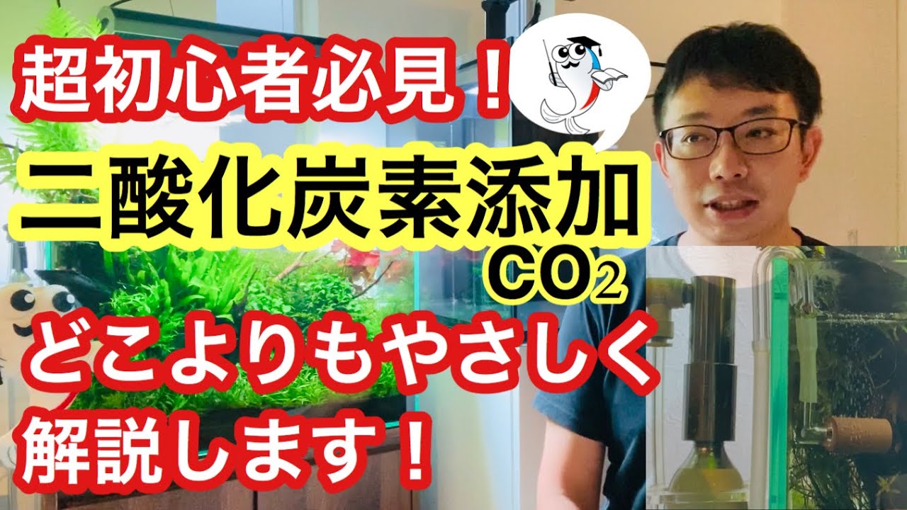 【はじめてのCO2】水草水槽へ二酸化炭素を添加する方法を公開