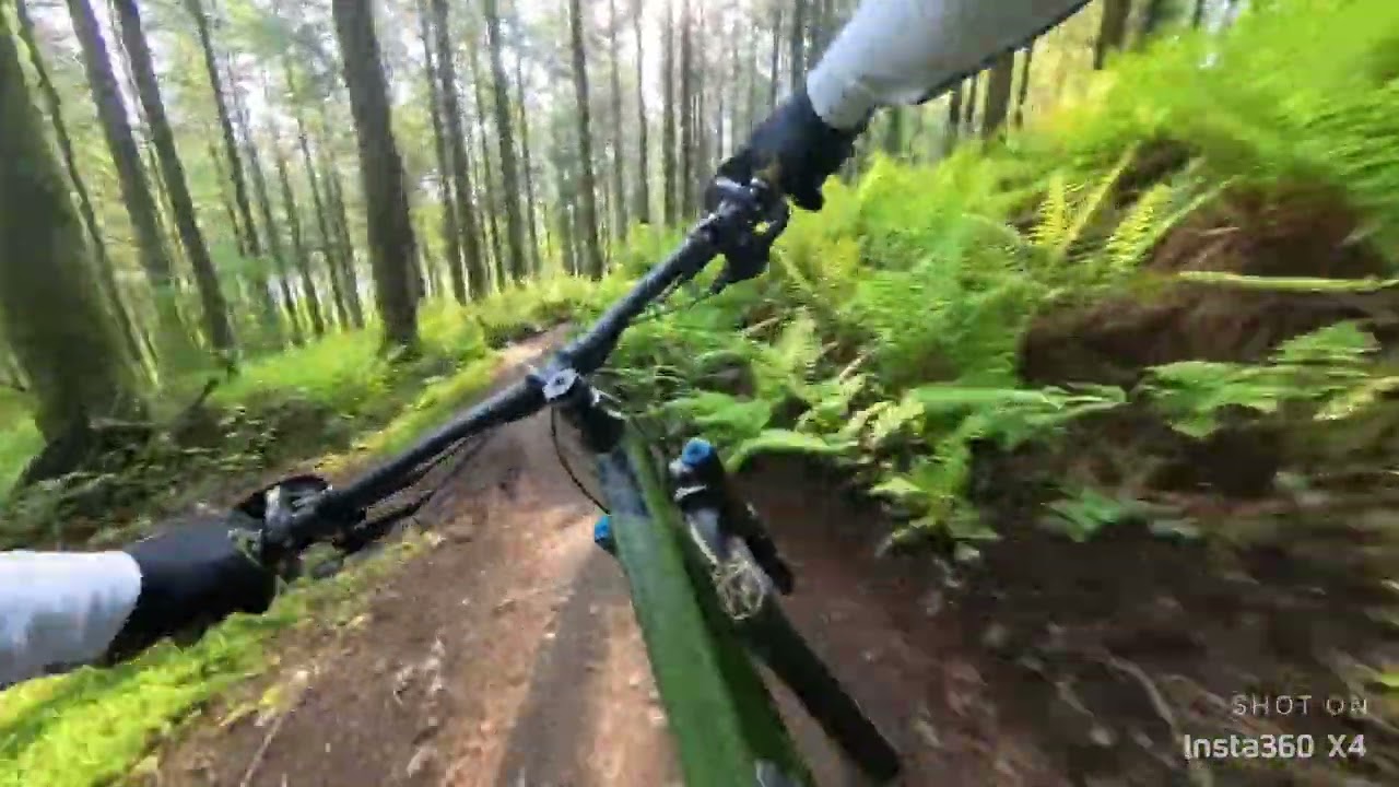 Haldon Forest Red Trail May 2024