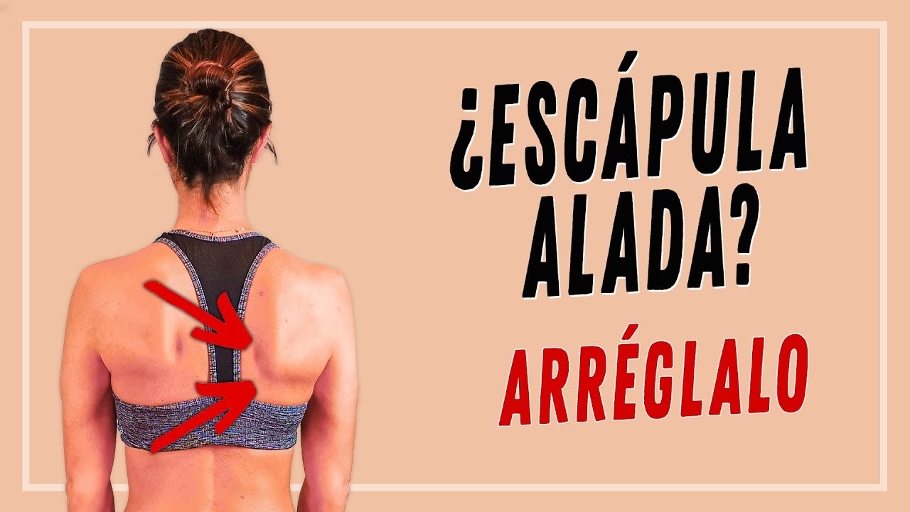 ¿Escápula alada? 4 ejercicios para mejorar su postura