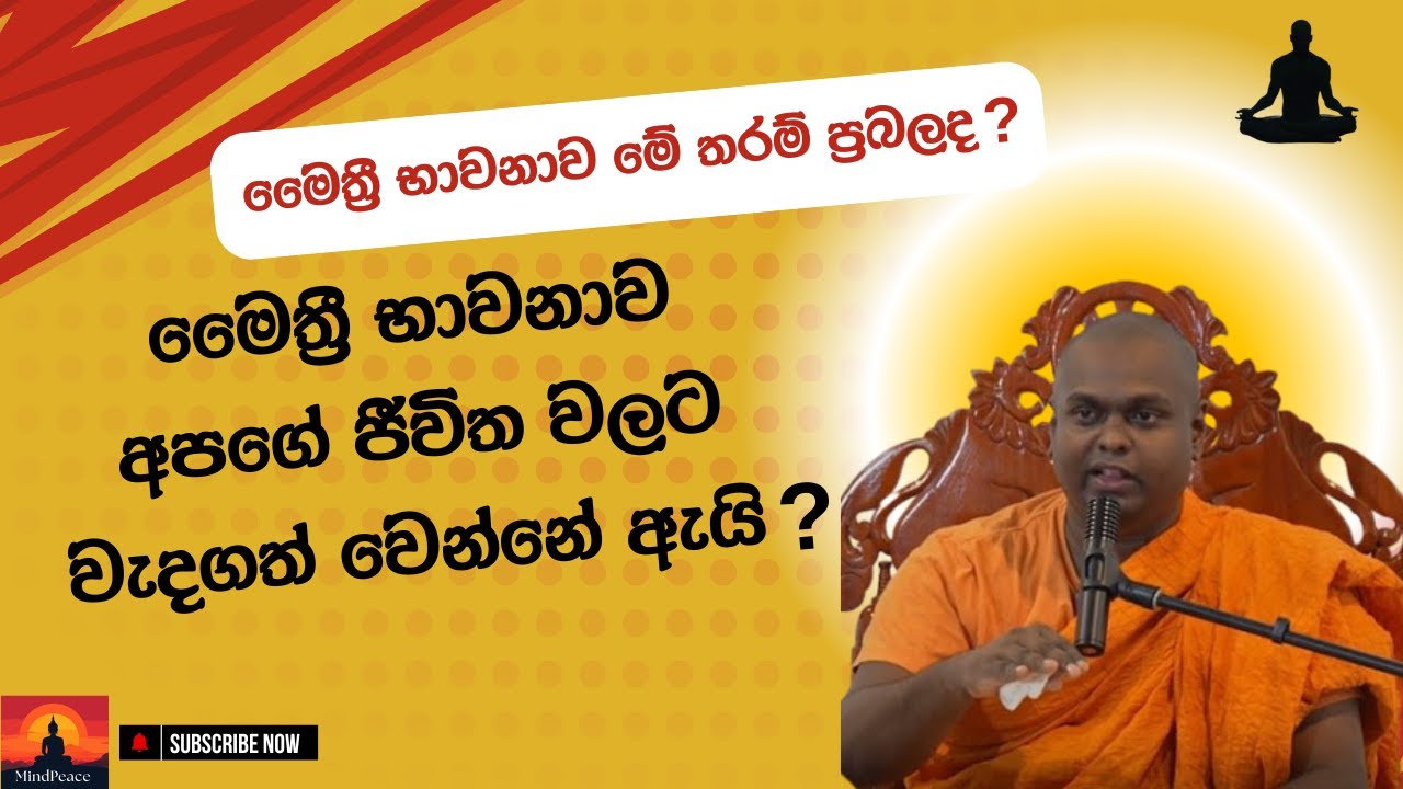 මෛත්‍රී භාවනාව මේ තරම් ප්‍රබලද? | මෛත්‍රී භාවනාව අපගේ ජීවිත වලට වැදගත් වෙන්නේ ඇයි? 🤔🙄