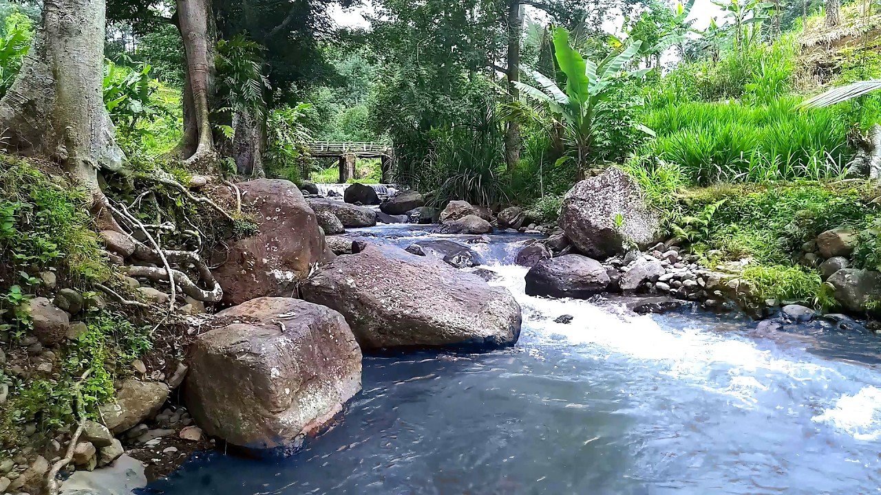 10 Hours of Forest River over Rocks 🌳 Soothing Water Sounds for Deep Sleep