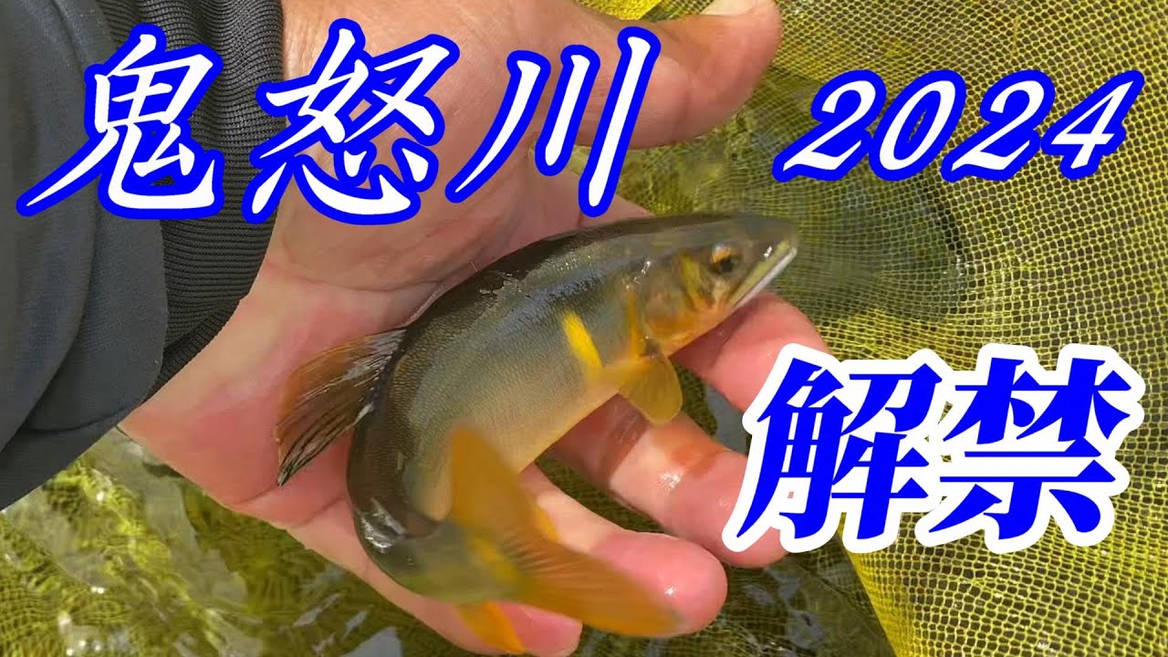 【鮎釣り2024】鬼怒川解禁日