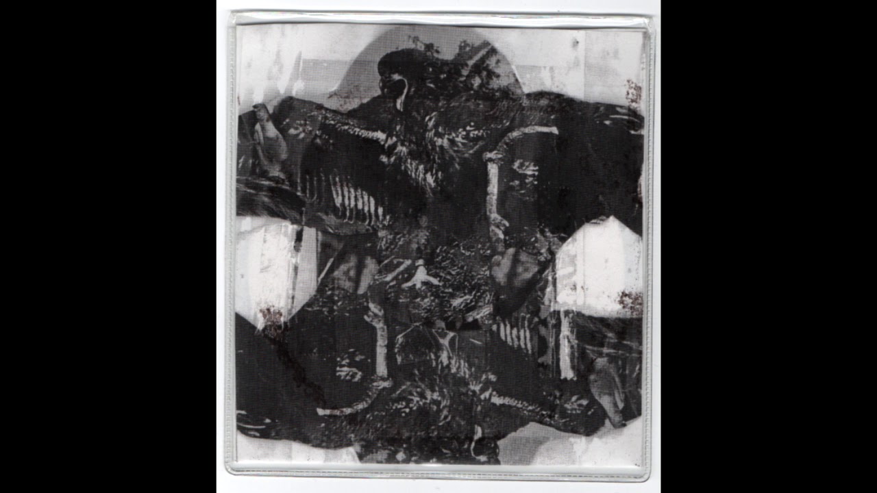 Naturalism CDr