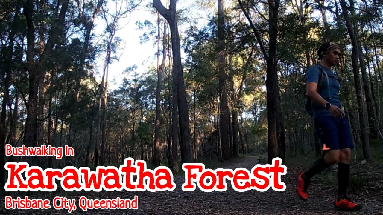 Bushwalking | Karawatha | Forest | Park | Reserve | Brisbane