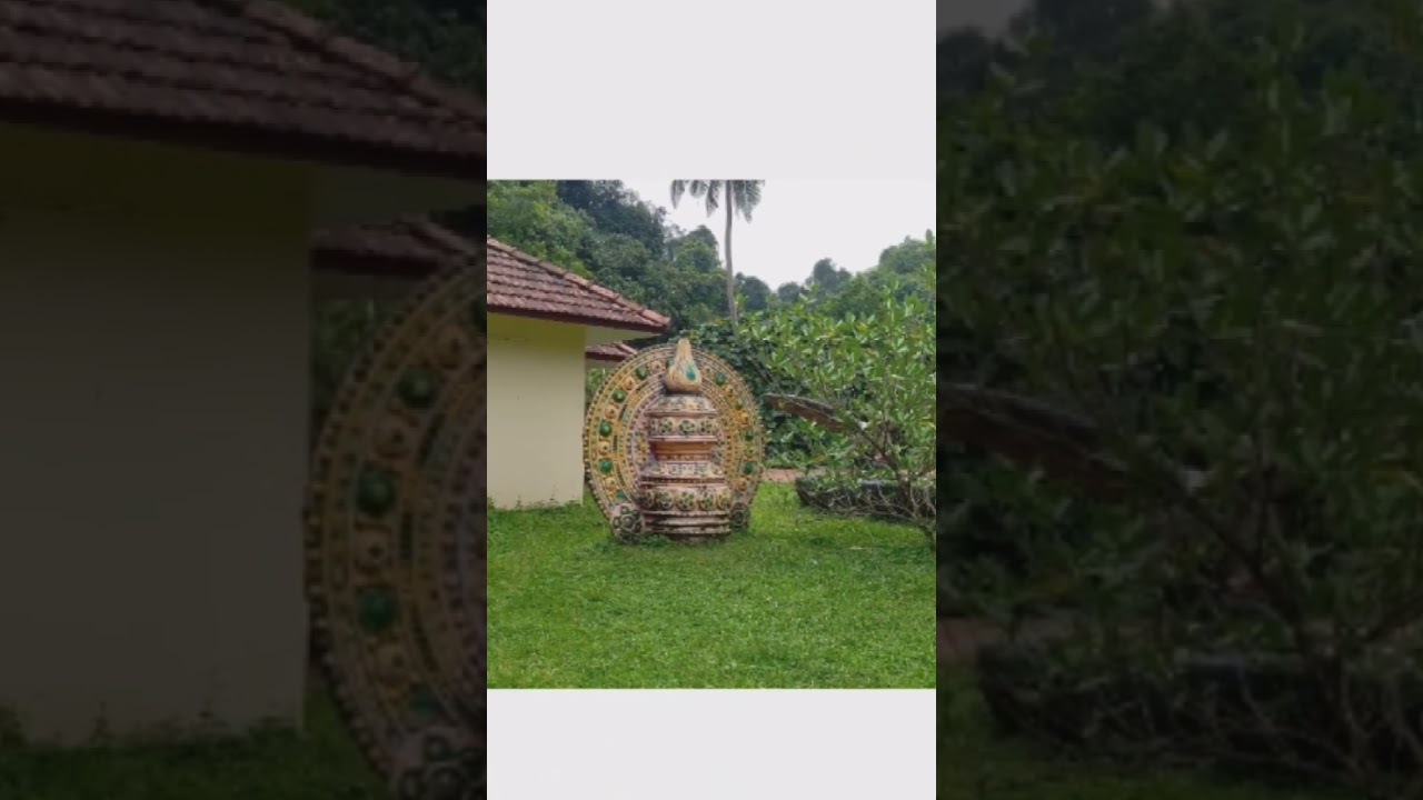 #Iringole Bhagavathy Temple#kavu #devi #ernakulam #devotionalsongs #god #forest #nature