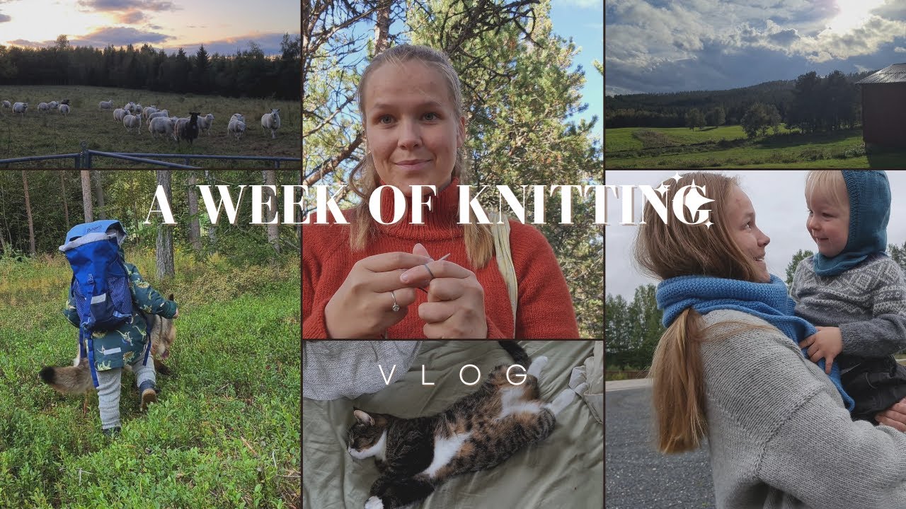 Fall Knits, Travel Knits, Selfish Knits, Gift Knits - All Types Of Knits // A Week Of Knitting Vlog