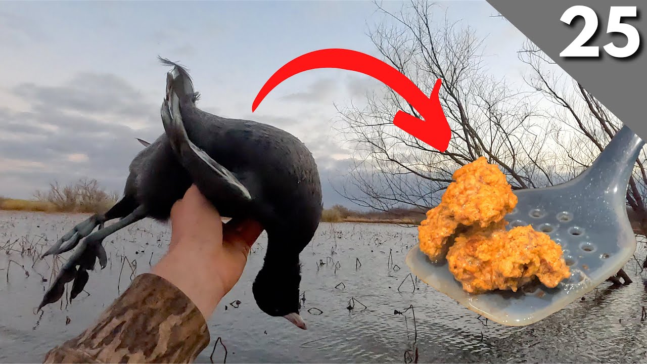 Coot Hunting (Catch & Cook) | Texas Duck Hunting