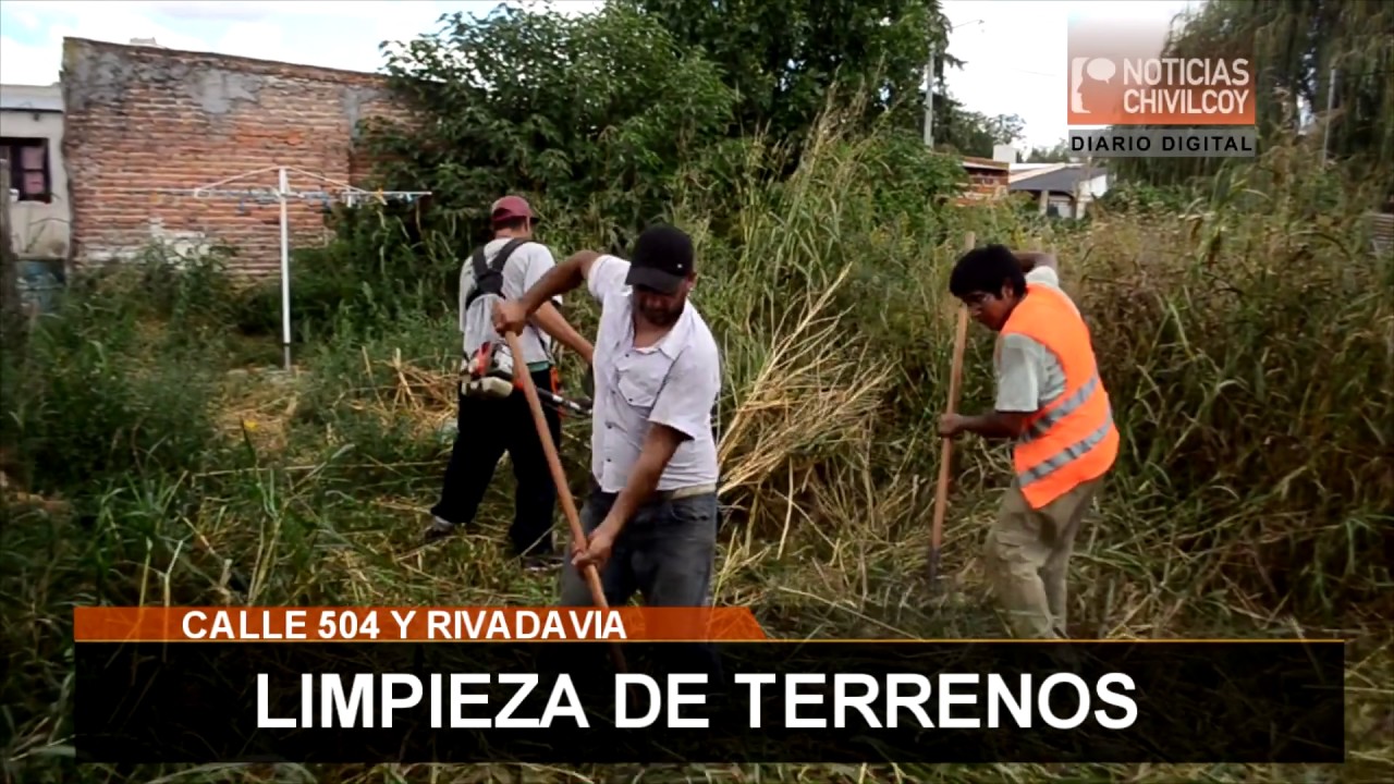 LIMPIEZA DE TERRENOS